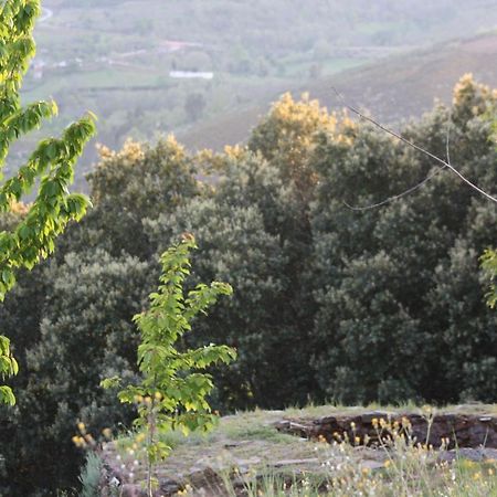 O Bilho Bed & Breakfast Vinhais Dış mekan fotoğraf