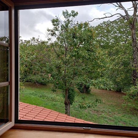 O Bilho Bed & Breakfast Vinhais Dış mekan fotoğraf