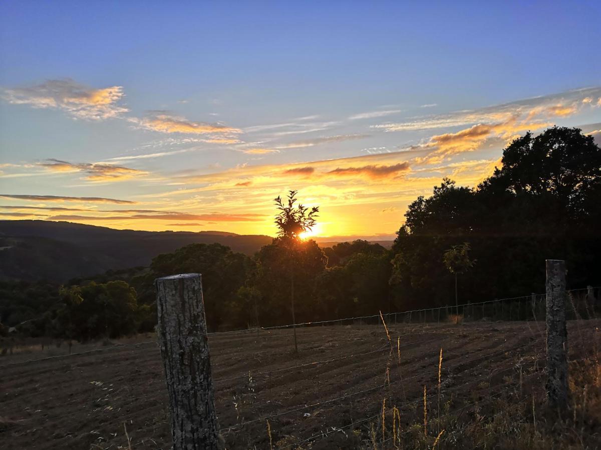 O Bilho Bed & Breakfast Vinhais Dış mekan fotoğraf