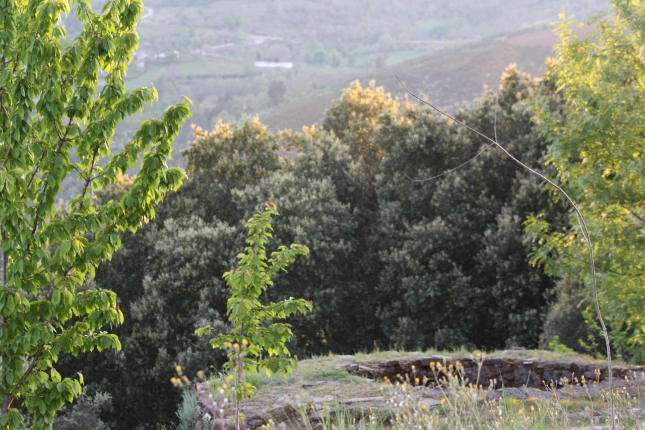 O Bilho Bed & Breakfast Vinhais Dış mekan fotoğraf